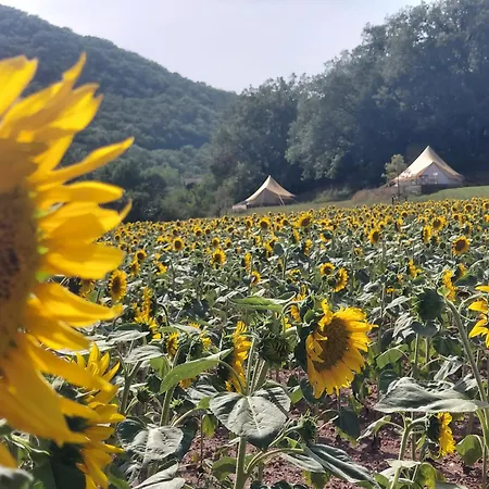 Glamping Luz Olive * Combret