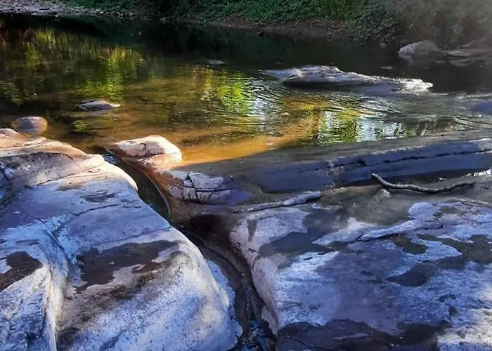 Glamping Luz Olive 豪华帐篷 Combret