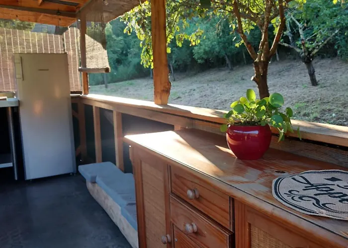 Glamping Luz Olive *