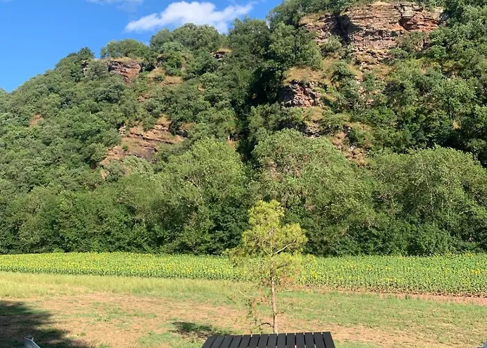 Glamping Luz Olive 豪华帐篷 Combret