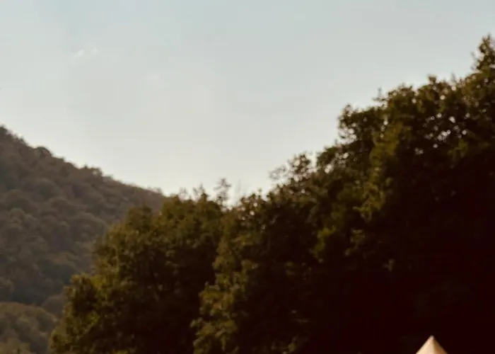 Glamping Luz Olive 豪华帐篷