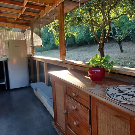 Glamping Luz Olive *