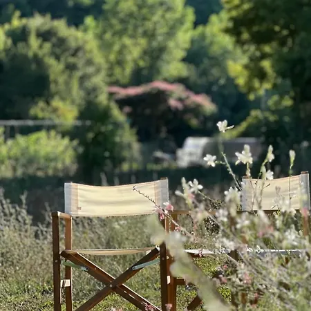 Glamping Luz Olive *