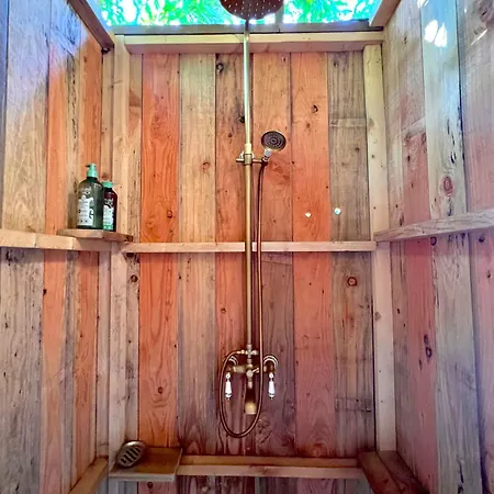 Glamping Luz Olive *