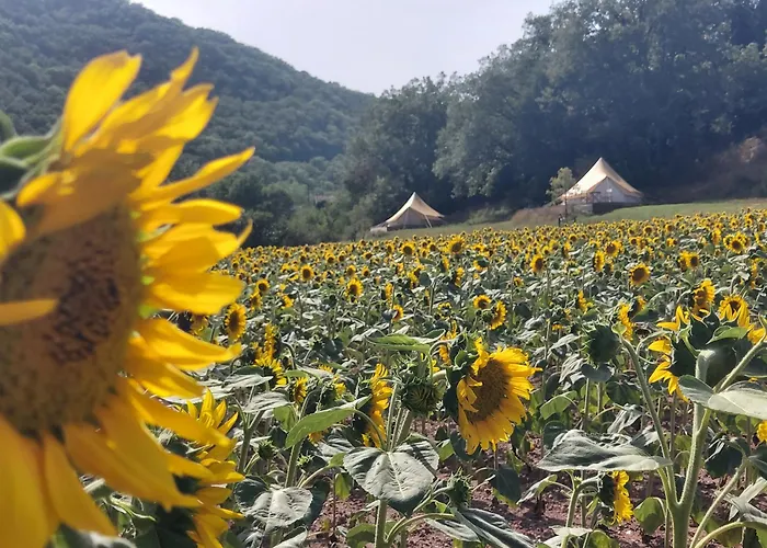 Glamping Luz Olive * Combret